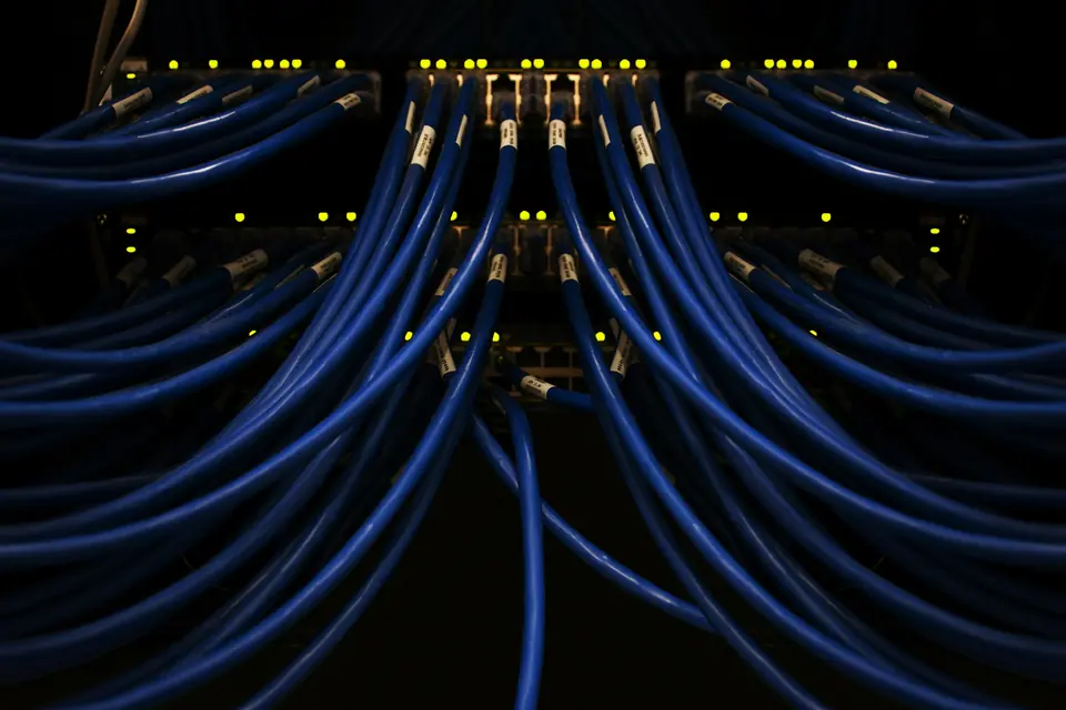 Cables de red azules conectados a un equipo de servidor